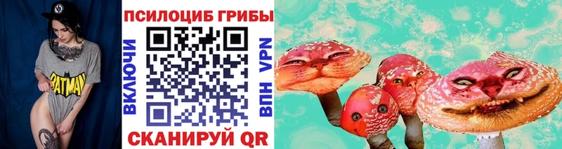 сайты даркнета как зайти  Ардатов  Псилоцибиновые грибы Psilocybine cubensis 